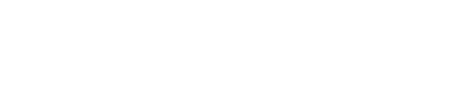 Sandro Andy S.A.S